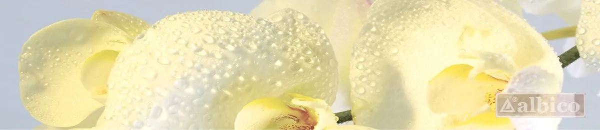 Стеновая панель с фотопечатью SP-018