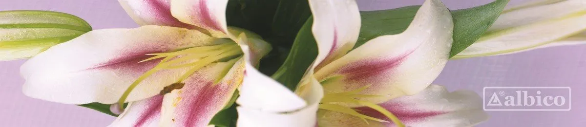 Стеновая панель SP-007