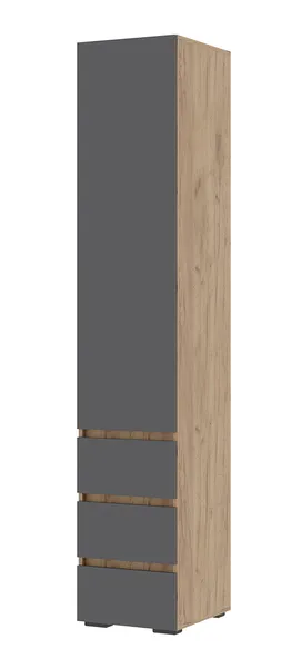 Пенал закрытый Хелен ПН 03 дуб крафт золото - серый графит