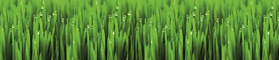 Стеновая панель FM-46