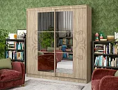 Шкаф-купе Элегант №3 (1500) Шкаф-купе Элегант №3 (1500)