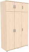 Шкаф для одежды ГАРУН-К 513.13
