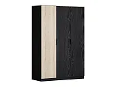 Шкаф для одежды ДЕЛЬТА Лофт 13.03