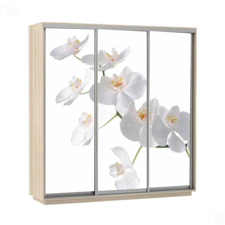 Шкаф-купе Экспресс Фото трио 2100 Орхидеи