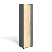 Шкаф Мини-Лайт МЛ-2 Дуб крафт золотой/графит Шкаф Мини-Лайт МЛ-2 Дуб крафт золотой/графит