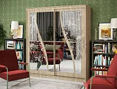 Шкаф-купе Элегант №2 (2000) Шкаф-купе Элегант №2 (2000)