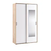 Шкаф-купе Бланка