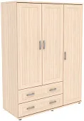 Шкаф для одежды ГАРУН-К 413.06
