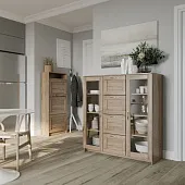 2.02.03.400.3 СИРИУС тумба 2 двери со стеклом и 4 ящика 117х123 сонома RU