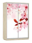 Шкаф-купе Фото дуо 1200 Сакура (2200)