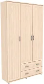 Шкаф для одежды ГАРУН-К 503.05