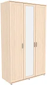 Шкаф для одежды с 1 зеркалом ГАРУН-К 513.11 Шкаф для одежды с 1 зеркалом ГАРУН-К 513.11
