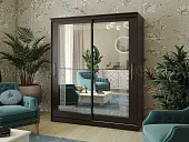 Шкаф-купе Элегант №5 (2,0) Шкаф-купе Элегант №5 (2,0)