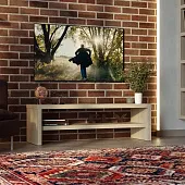 S00821 Энкель ТВ12 ТВ-тумба 120х37x38, дуб беленый S00821 Энкель ТВ12 ТВ-тумба 120х37x38, дуб беленый