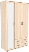 Шкаф для одежды с 1 зеркалом ГАРУН-К 513.08