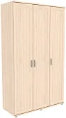 Шкаф для одежды ГАРУН-К 513.03