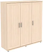 Шкаф для одежды ГАРУН-К 303.01