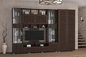 Гостиная Аллегро 4 со шкафом Крокодил Темный