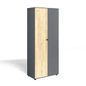 Шкаф Мини-Лайт МЛ-9 Дуб крафт золотой/графит