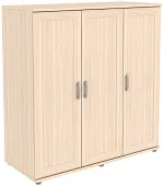 Шкаф для одежды ГАРУН-К 313.01