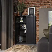 2.02.03.310.5 СИРИУС тумба 2 двери 78х123 Дуб Венге RU