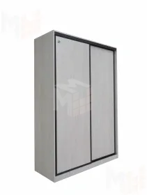 Шкаф-купе без зеркала Винтер 6.16