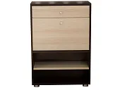 Обувница Мини-Лайт МЛ-4 Венге/ясень Обувница Мини-Лайт МЛ-4 Венге/ясень