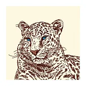 Фасад Галерея Снежный барс Фасад Галерея Снежный барс