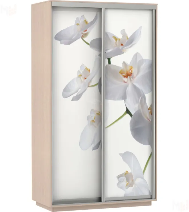 Шкаф-купе Экспресс Фото дуо 1600 Лондон (2200)