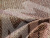 Угловой диван Хьюго правый угол (Бежевый\коричневый\серый)