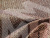 П-образный диван Майами правый угол (бежевый\коричневый\бежевый)